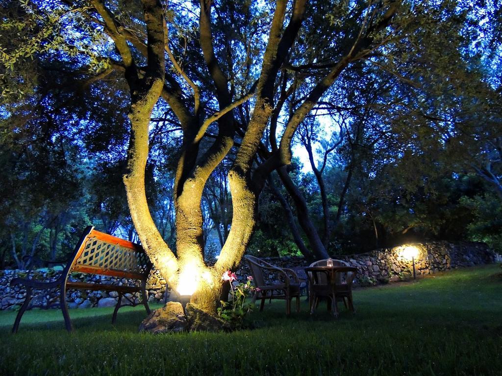 Agriturismo Sa Mendhula Куньяна Номер фото