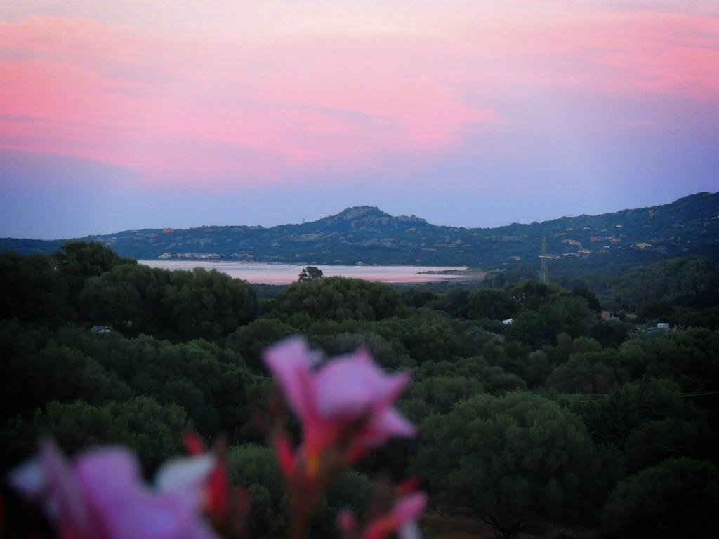 Agriturismo Sa Mendhula Куньяна Номер фото