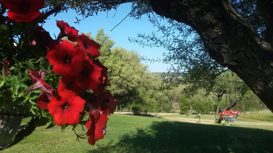 Agriturismo Sa Mendhula Куньяна Экстерьер фото